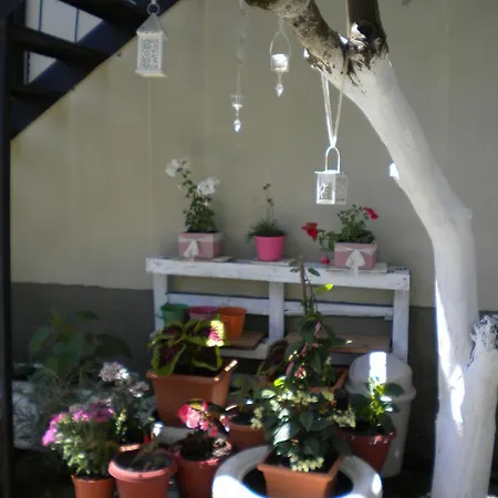Appartement Katerina *