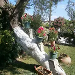 Διαμέρισμα Katerina