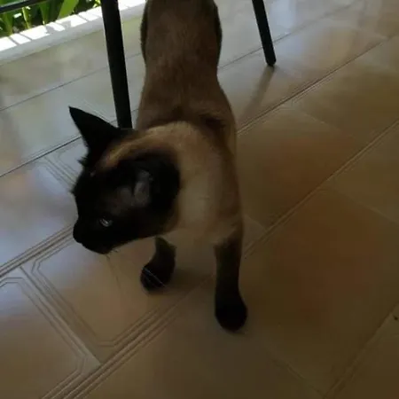 Apartamento Katerina *