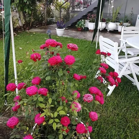 Katerina Apartamento