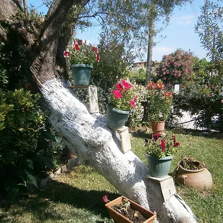 Apartamento Katerina