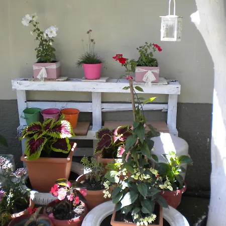 Apartamento Katerina